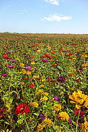 V社已在考虑推出Steam Deck 2